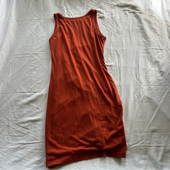 Sleeveless Ruched Rust Dress - Picture 7 of 8